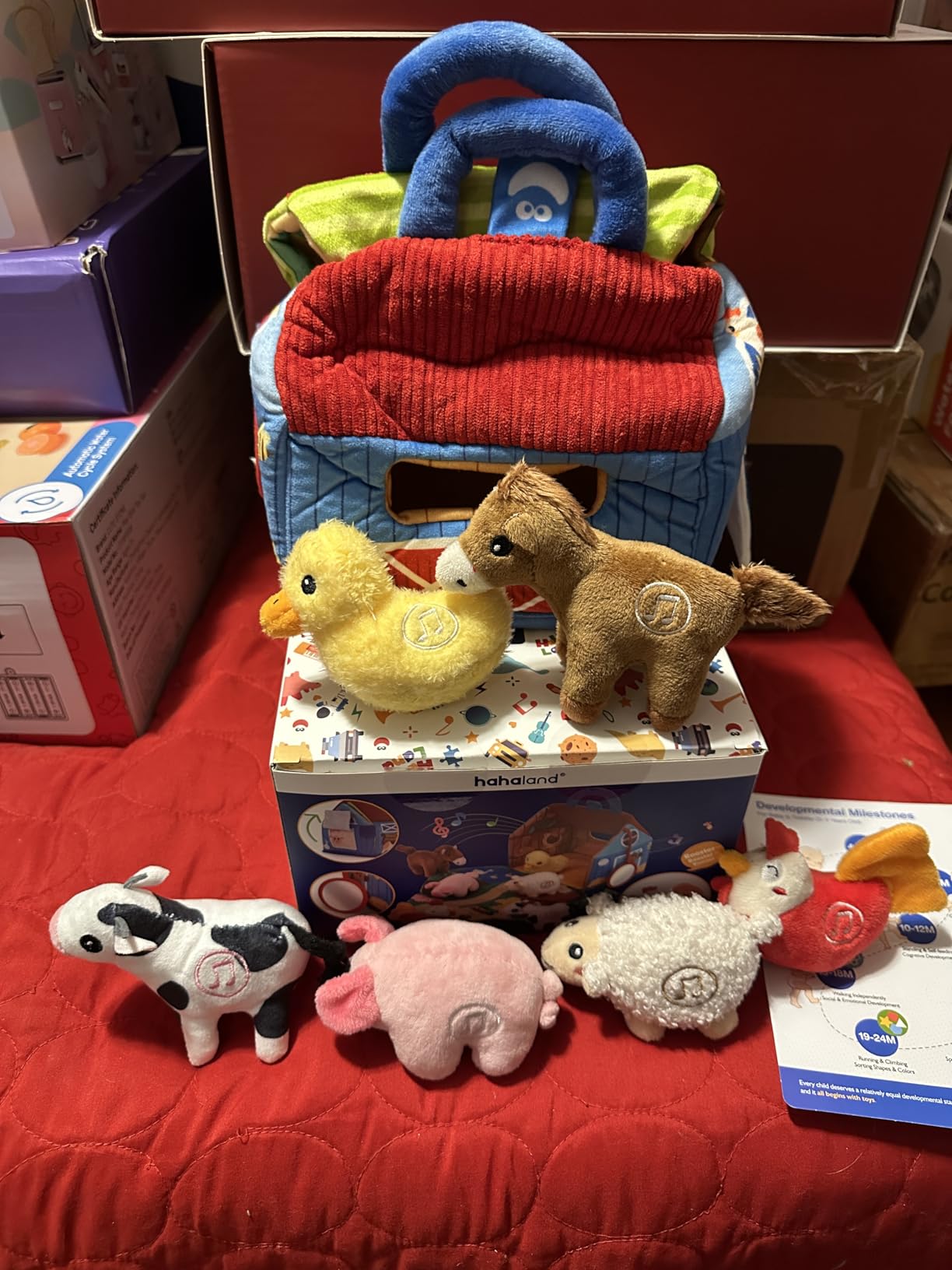 Review by Daniela M.